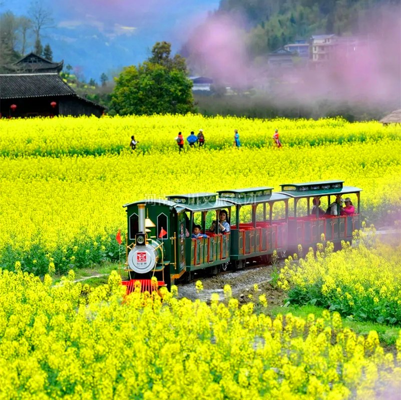 電動觀光車的優(yōu)勢