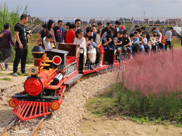 網(wǎng)紅迷你小火車,景區(qū)網(wǎng)紅迷你小火車廠家,旅游網(wǎng)紅迷你小火車價(jià)格